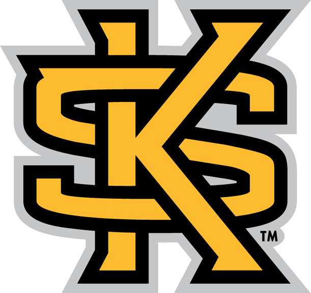 Kennesaw State Owls 2012-Pres Secondary Logo diy DTF decal sticker